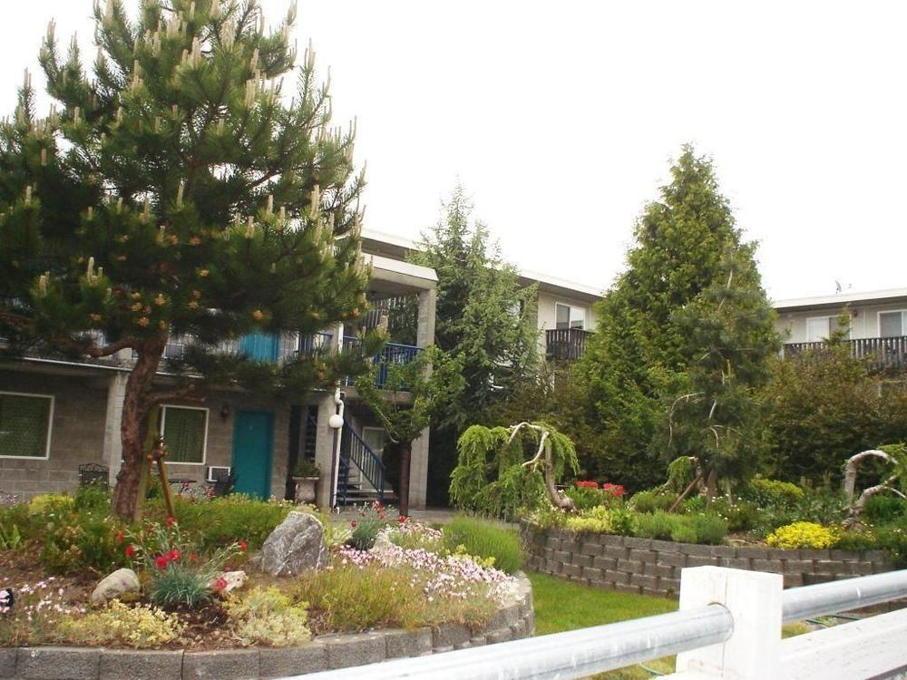 Bayside Motor Inn ブレイン エクステリア 写真